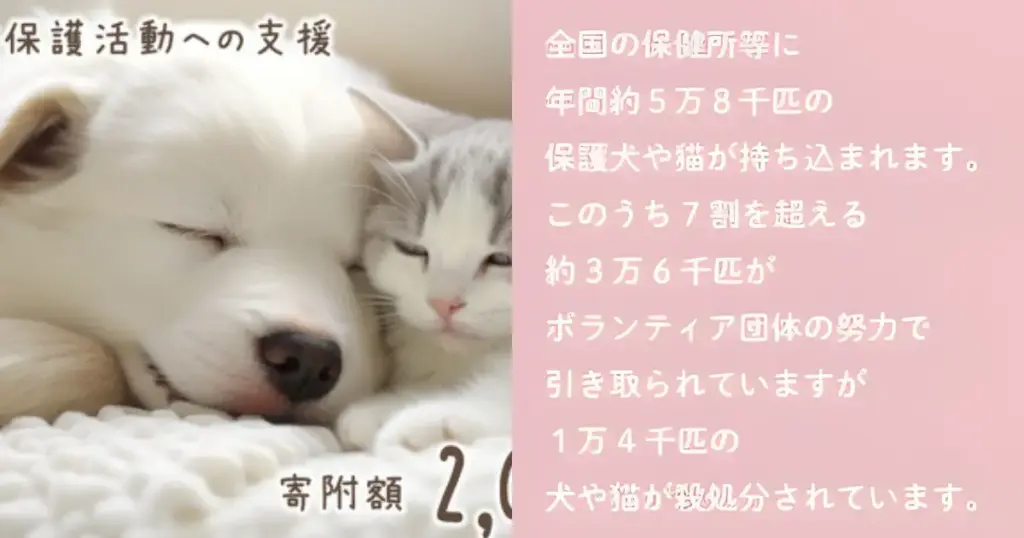 福岡県筑紫野市｜「殺処分を待つ命をゼロにする」未来