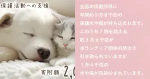 福岡県筑紫野市｜「殺処分を待つ命をゼロにする」未来