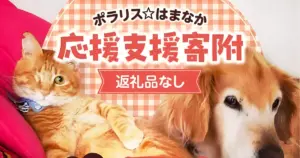 北海道浜中町｜不幸な命を「生み出さない」仕組みづくりをふるさと納税で
