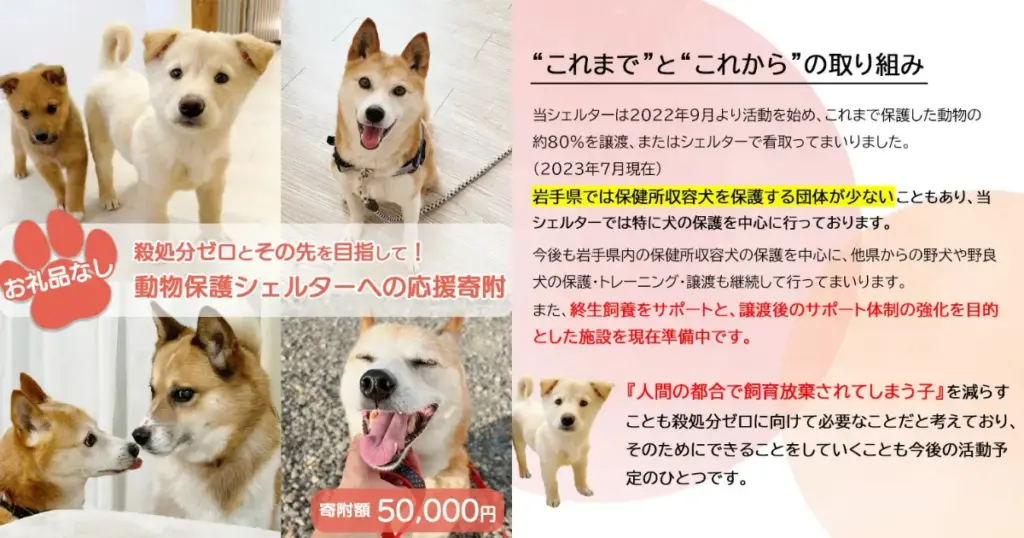 岩手県矢巾町｜殺処分ゼロとその先を目指して！動物保護シェルターへの応援寄附