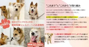 岩手県矢巾町｜殺処分ゼロとその先を目指して！動物保護シェルターへの応援寄附