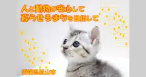 「殺処分ゼロ」はゴールじゃない。愛媛県松山市が描く、人と猫の幸せな未来図