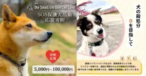 栃木県那須町｜那須町が目指す「犬の殺処分ゼロ」を！
