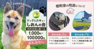 北海道の大地で、新しい家族を待つ命がある