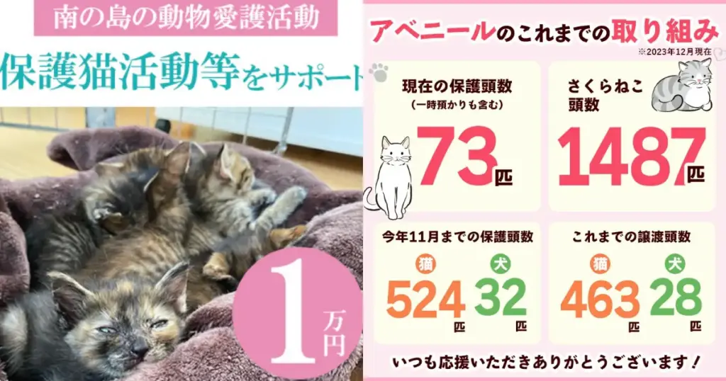 沖縄県八重瀬町｜南の島の動物愛護活動をふるさと納税で支援「さくら猫活動」