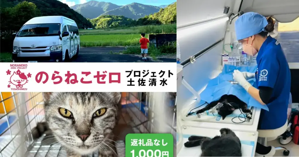 高知県土佐清水市｜ふるさと納税でのらねこゼロプロジェクト！
