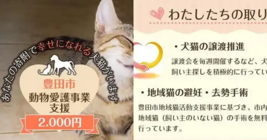 愛知県豊田市｜動物愛護事業へのふるさと納税で人と動物の共生社会の推進