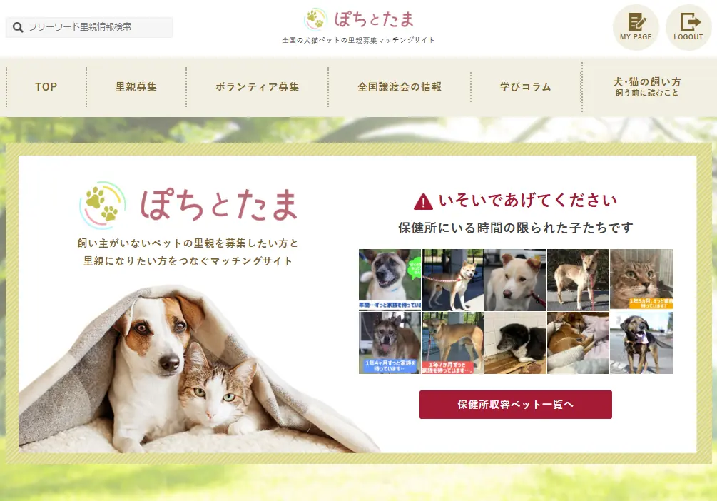 ぽちとたまTOPページ
