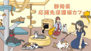 岐阜県の応援先保護猫カフェ 保護犬カフェ 保護猫カフェ応援サイト