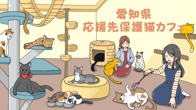 愛知県の応援先保護猫カフェ・保護犬カフェ