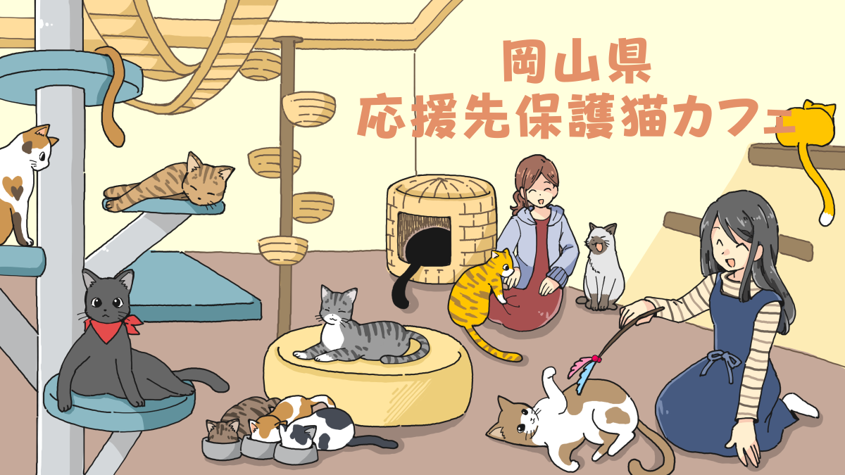 岡山県の応援先保護猫カフェ・保護犬カフェ
