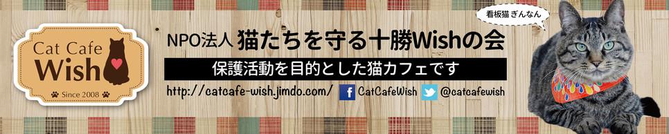 Cat Cafe Wish