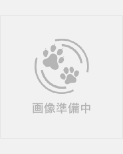 画像準備中