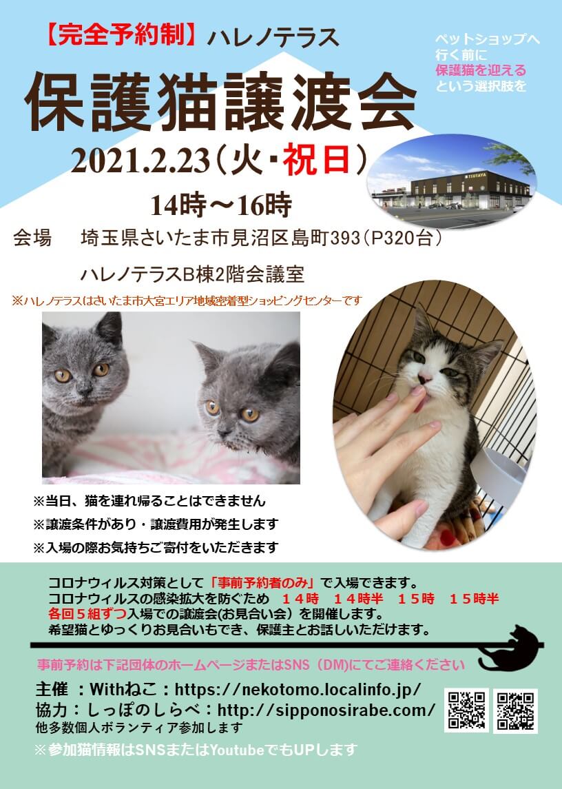 【完全予約制】２/２３(祝)ハレノテラス保護猫譲渡会