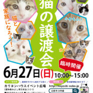 子猫いっぱい24匹の譲渡会／愛知県みよし市