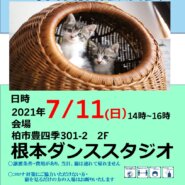 7/11(日）猫カフェ風保護猫譲渡会