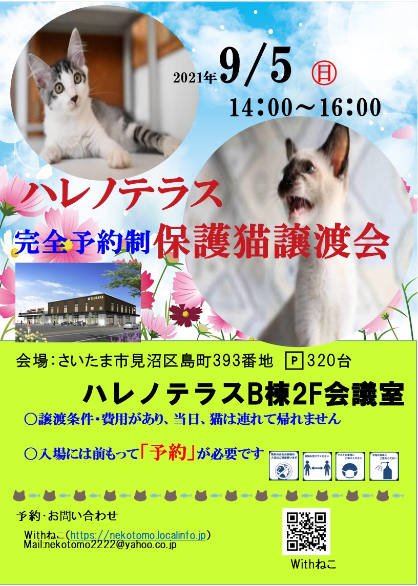 【完全予約制】9/5(日)ハレノテラス保護猫譲渡会