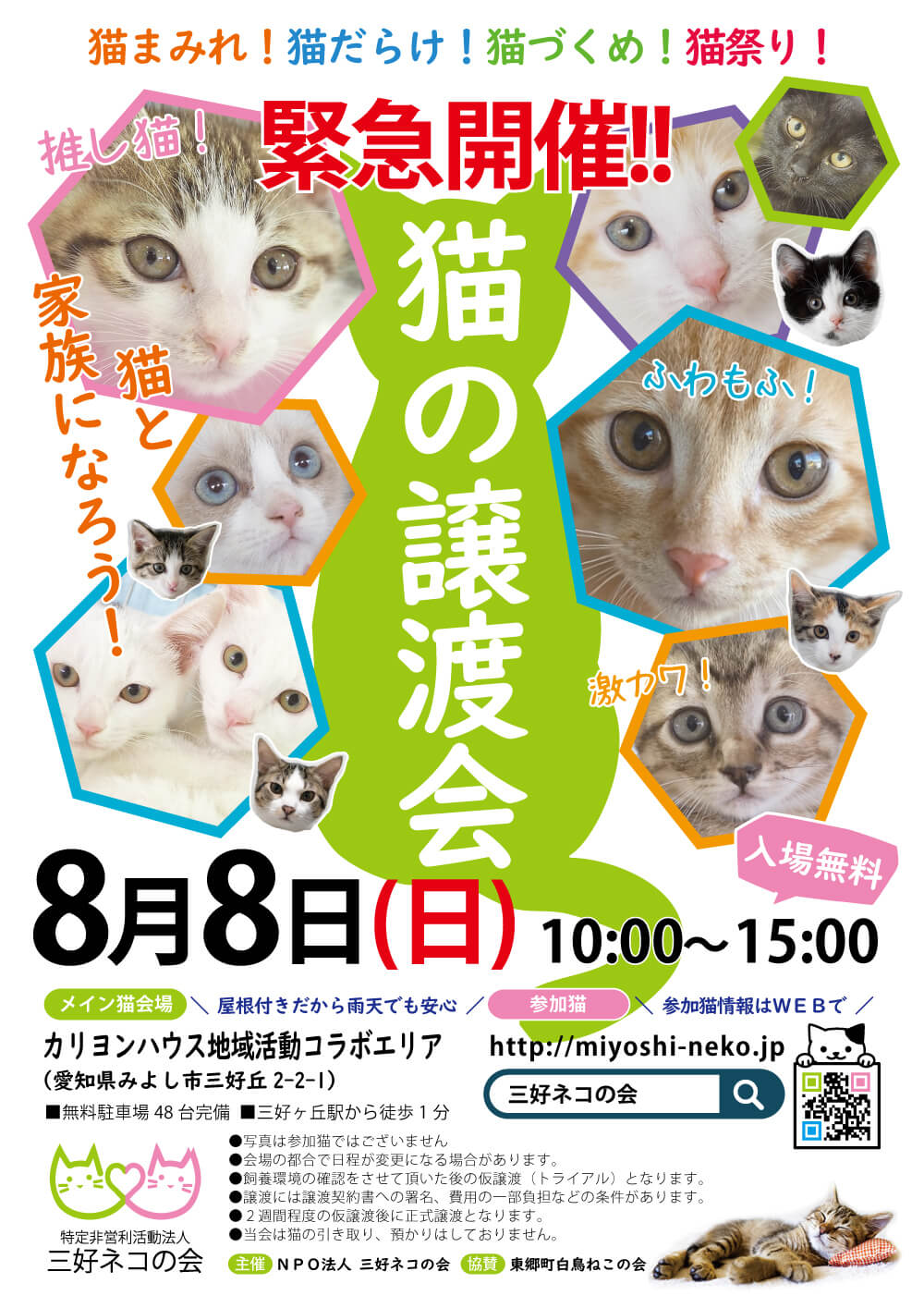 子猫まつり緊急開催／みよし市