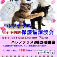 9/20(祝）ハレノテラス保護猫譲渡会