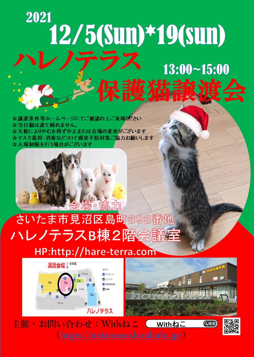 【さいたま市】１２/１９（日）ハレノテラス保護猫譲渡会