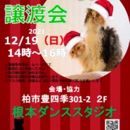 【柏市】12/19（日）根本ダンススタジオ保護猫譲渡会