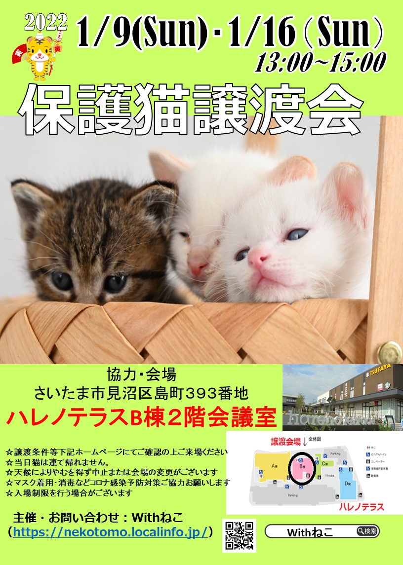 【さいたま市】１/９（日）ハレノテラス保護猫譲渡会