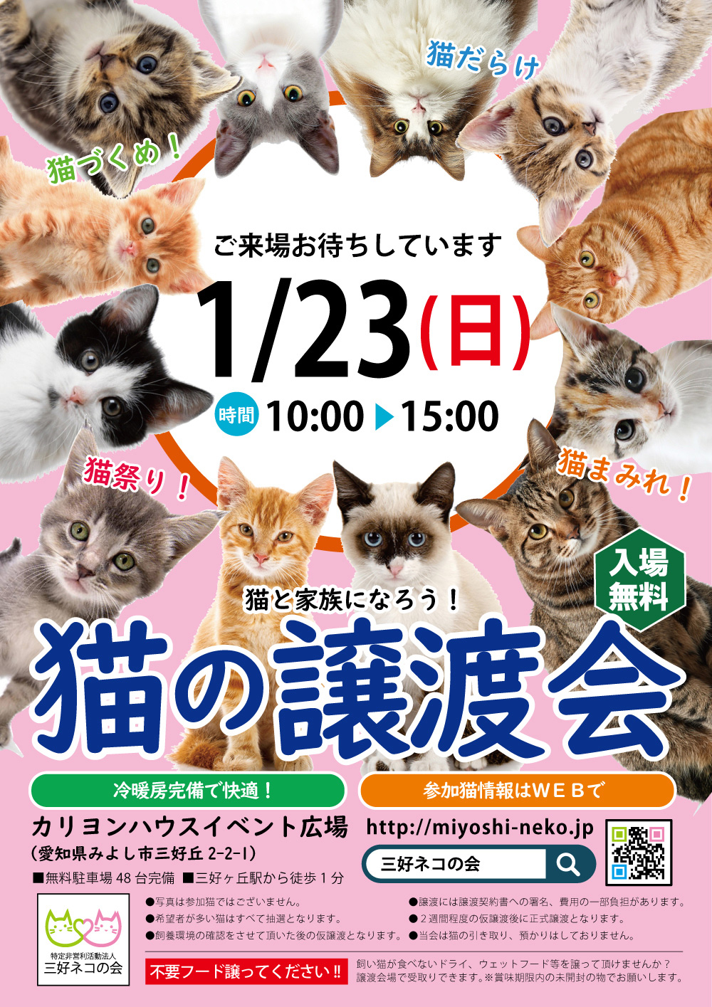 子猫緊急参加「16匹のねこねこ譲渡会」★愛知県みよし市