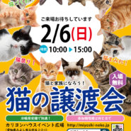 大中小17匹の猫／愛知県みよし市