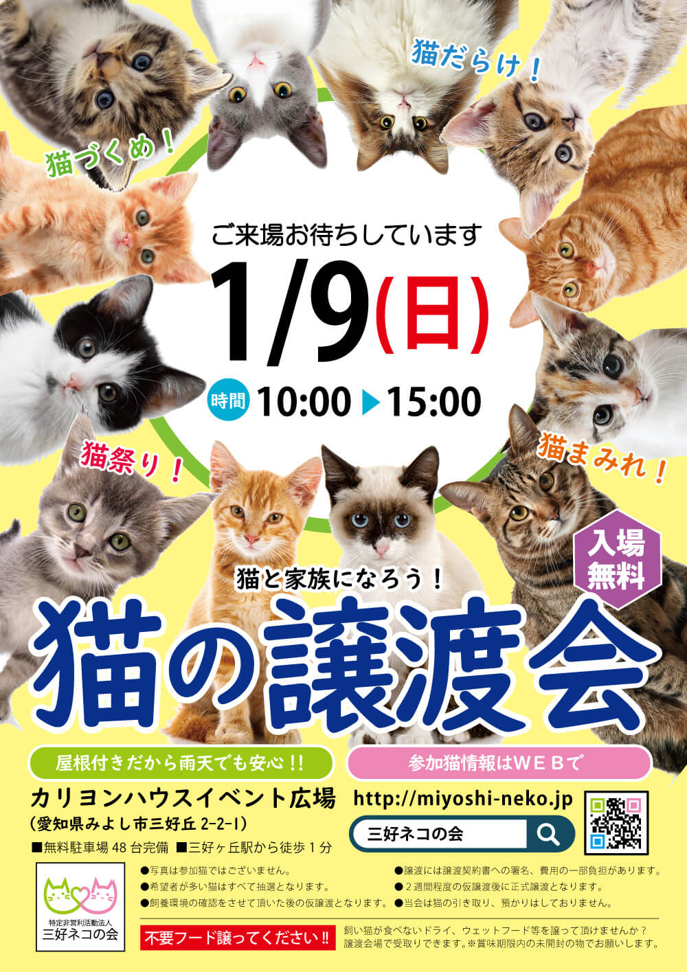 デビュー子猫あり！ちびでか11匹の譲渡会-愛知県みよし市