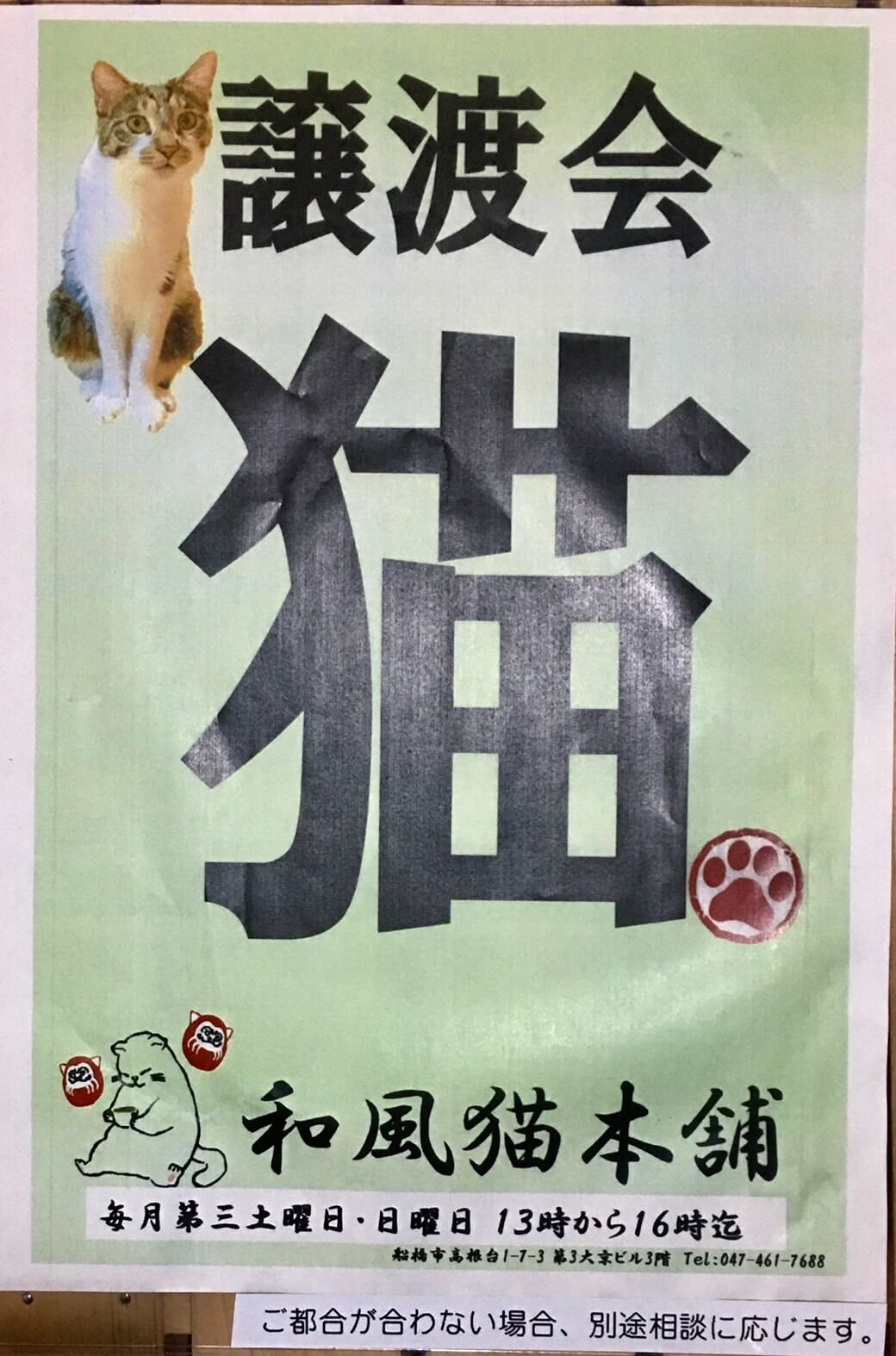 【千葉県船橋市】和風猫本舗 保護猫譲渡会