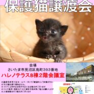 【さいたま市】３/１３（日）ハレノテラス保護猫譲渡会