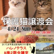 【さいたま市】4/24（日）ハレノテラス保護猫譲渡会