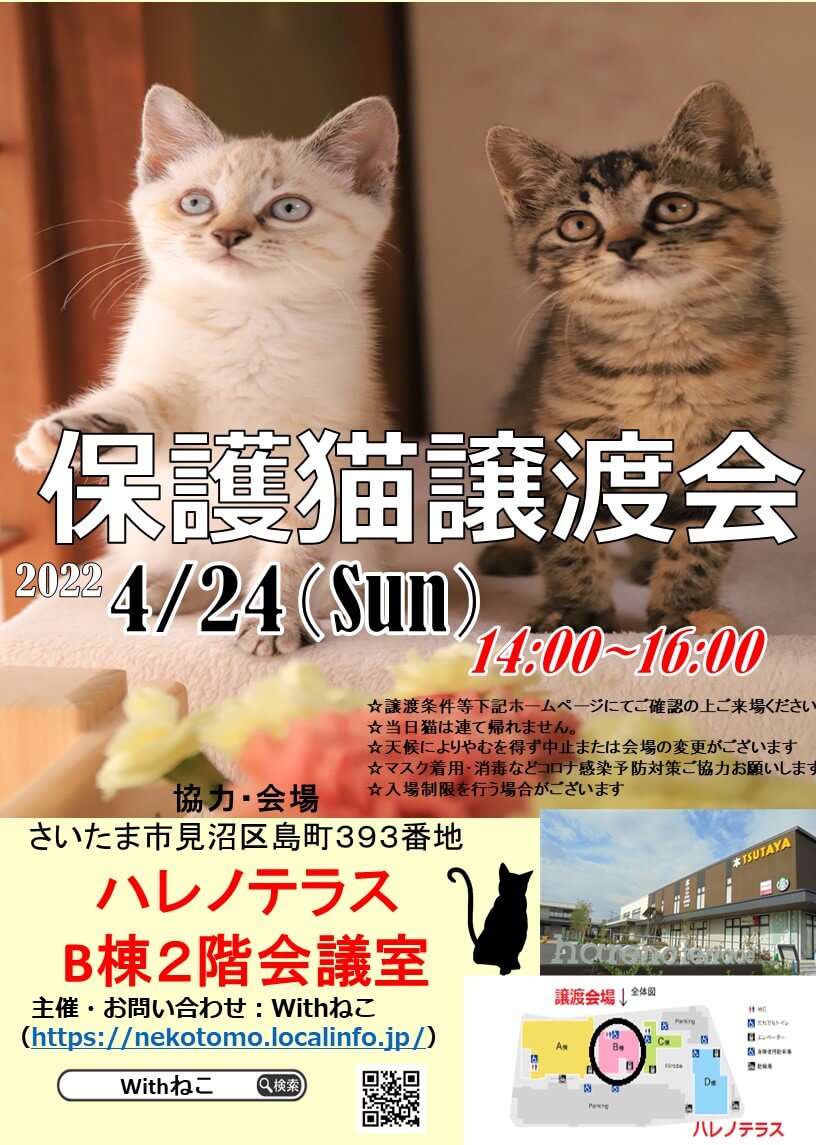 【さいたま市】4/24（日）ハレノテラス保護猫譲渡会
