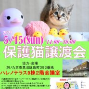【さいたま市】５/15（日）ハレノテラス保護猫譲渡会