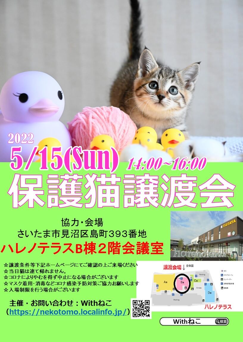 【さいたま市】５/15（日）ハレノテラス保護猫譲渡会