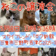 香川県 犬猫譲渡会開催♬︎♡
