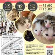 【東京・芝浦】みなとねこ保護猫譲渡会