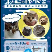 東京都三鷹市の猫譲渡会です