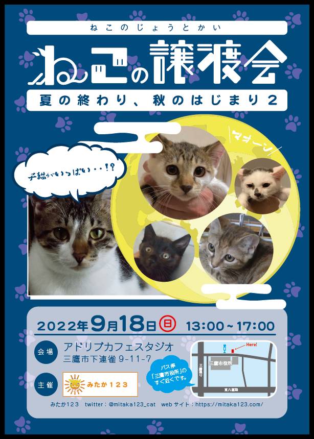 東京都三鷹市の猫譲渡会です