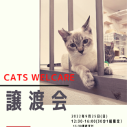 CATS WELCARE譲渡会