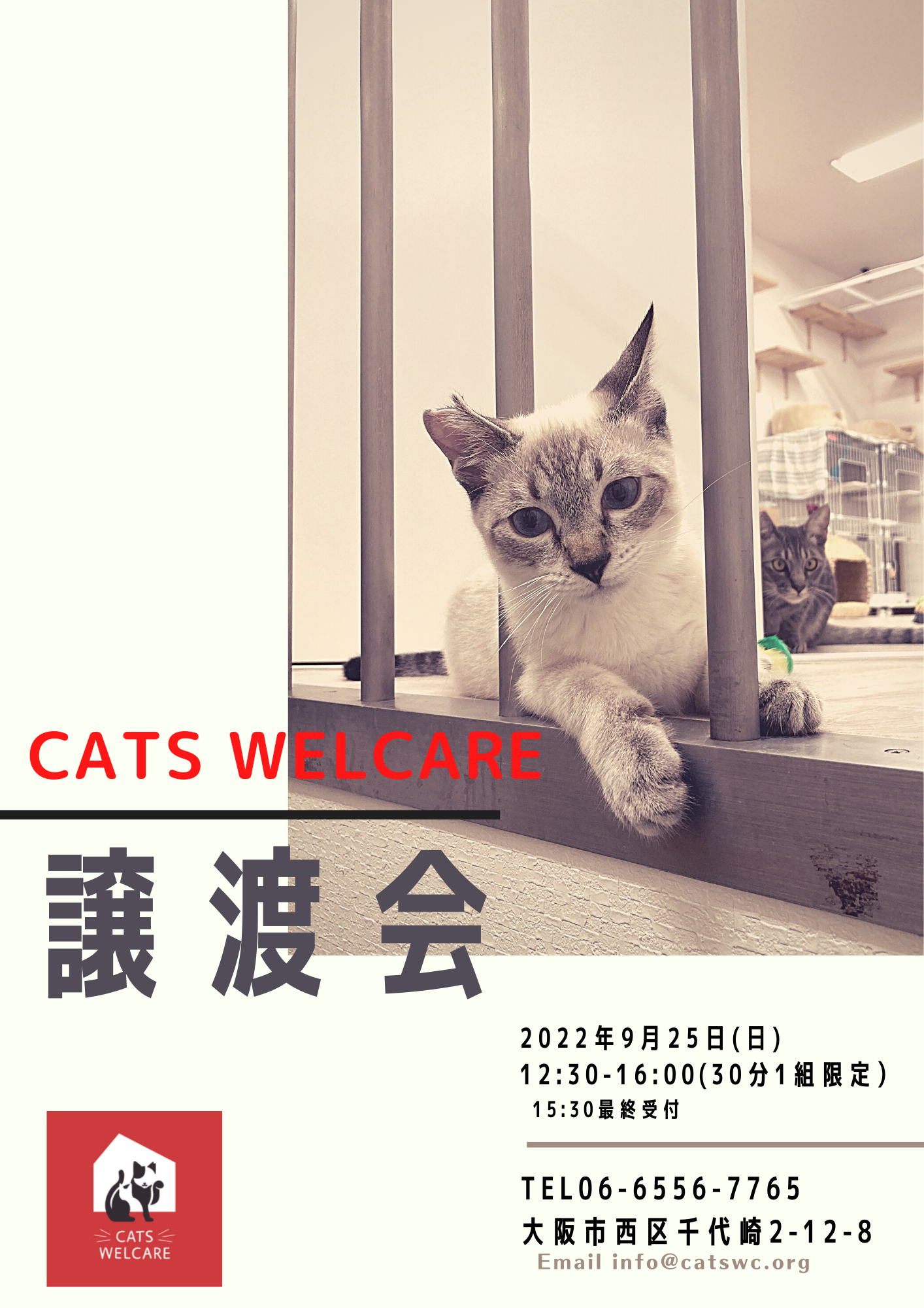 CATS WELCARE譲渡会