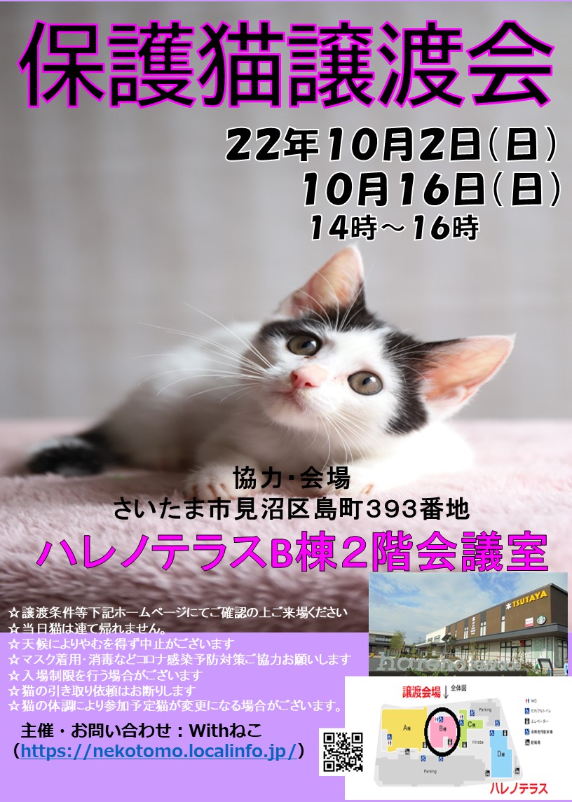 【さいたま市】10/2（日）ハレノテラス保護猫譲渡会