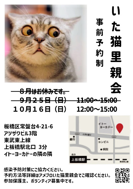 板橋区上板橋にて「いた猫里親会」を開催します