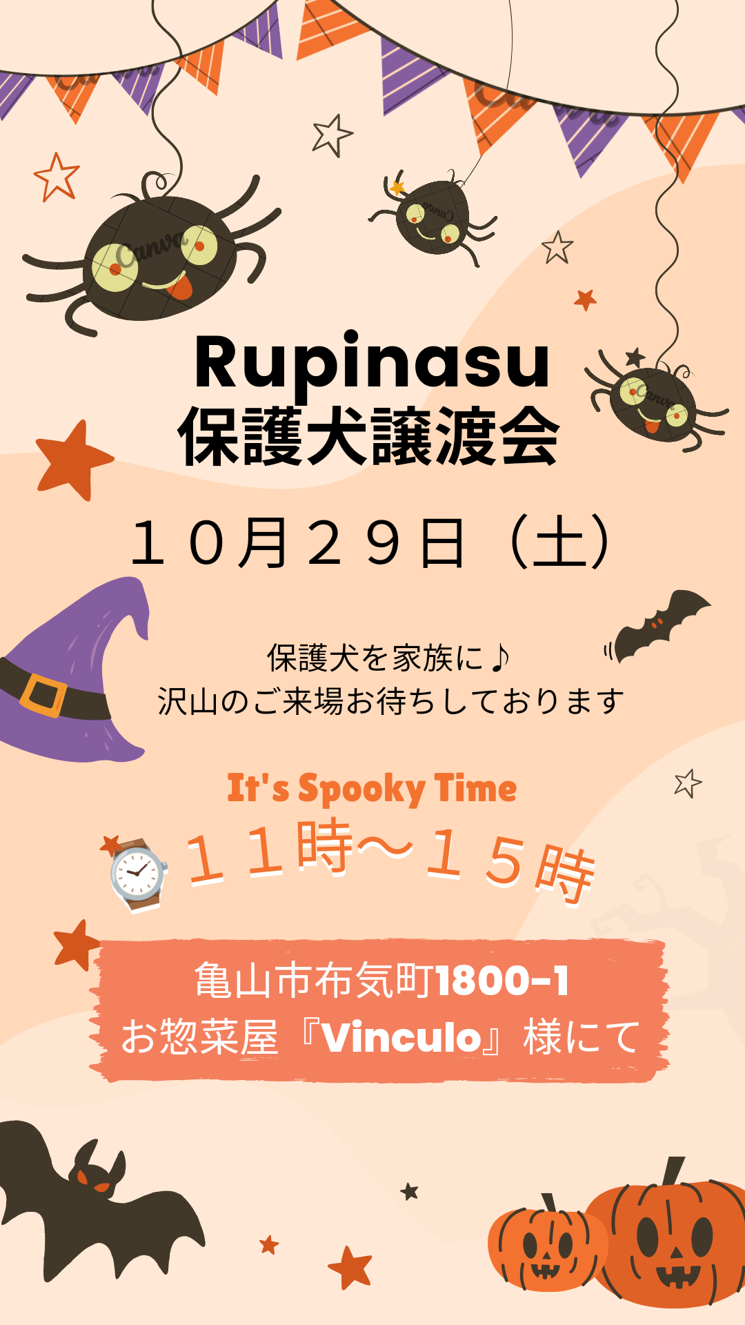 Rupinasu保護犬譲渡会 with どれみふぁまるしぇ