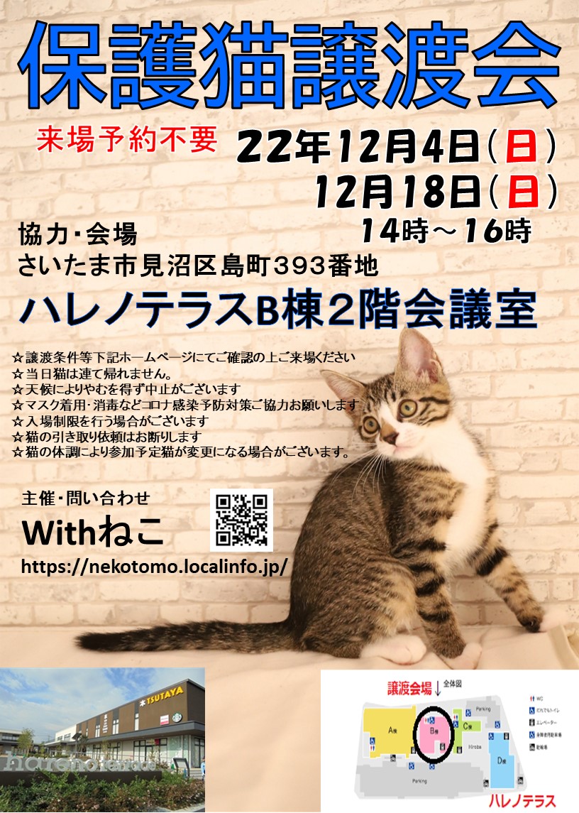 【さいたま市】１２/４（日）ハレノテラス保護猫譲渡会