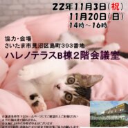 【さいたま市】11/20（日）ハレノテラス保護猫譲渡会