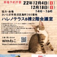 【さいたま市】12/18（日）ハレノテラス保護猫譲渡会
