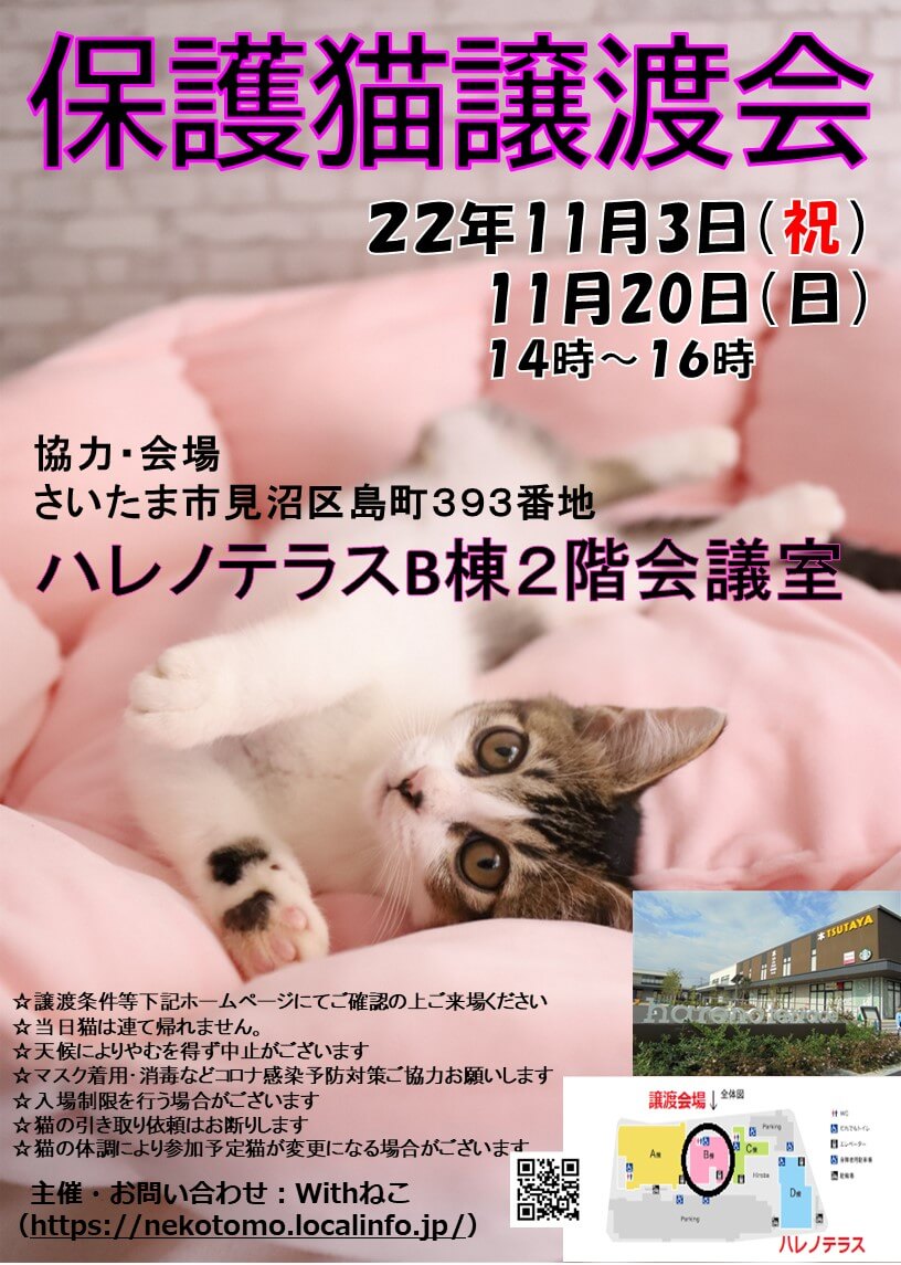 【さいたま市】11/3（祝）ハレノテラス保護猫譲渡会