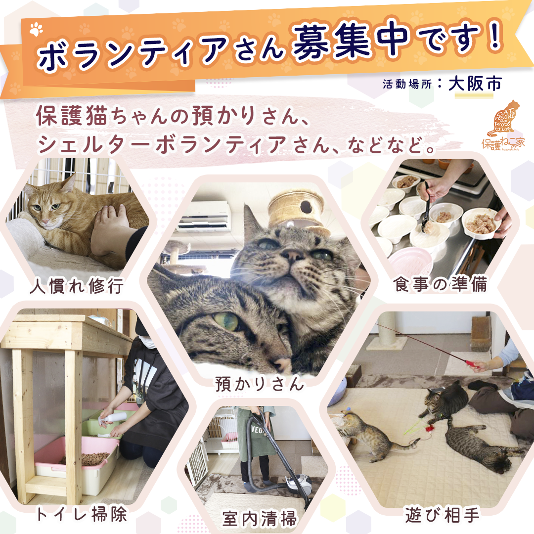 東京2020ボランティア グッズセット(保護犬、猫ボランティア施設に売上金寄付) 犬猫のボランティア募集 - ぽちとたま