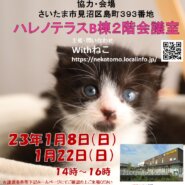 【さいたま市】１/22（日）ハレノテラス保護猫譲渡会